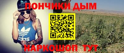 прущие крисы Краснокаменск