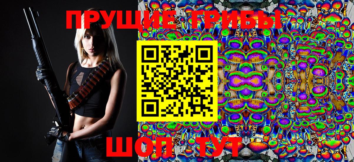 Кольчугино  Псилоцибиновые грибы Psilocybe  Вход с VPN 